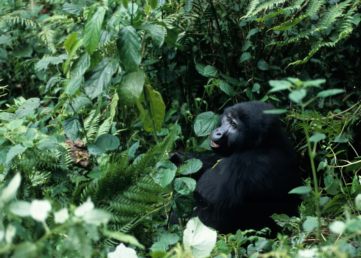 Our Impact - Community Empowerment